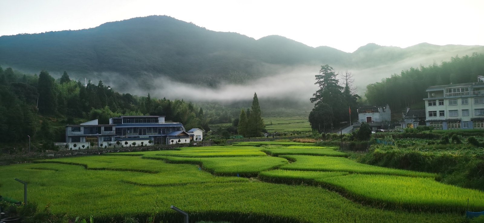 茶山建筑